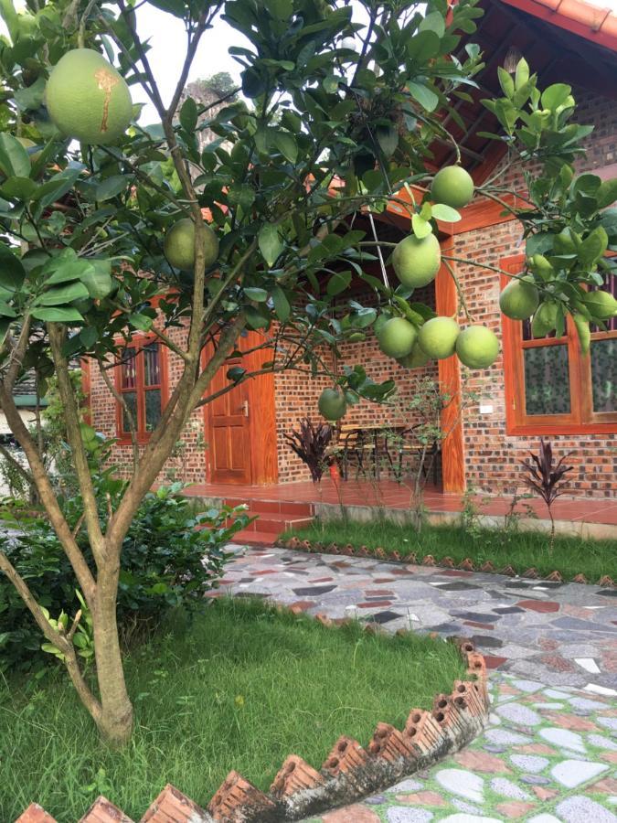 Tam Coc Thanh Dat Homestay نينه بينه المظهر الخارجي الصورة
