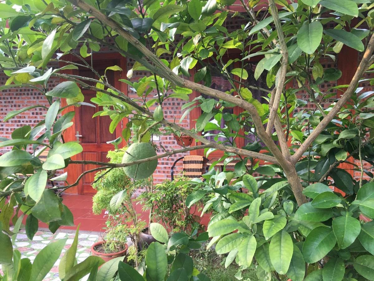 Tam Coc Thanh Dat Homestay نينه بينه المظهر الخارجي الصورة