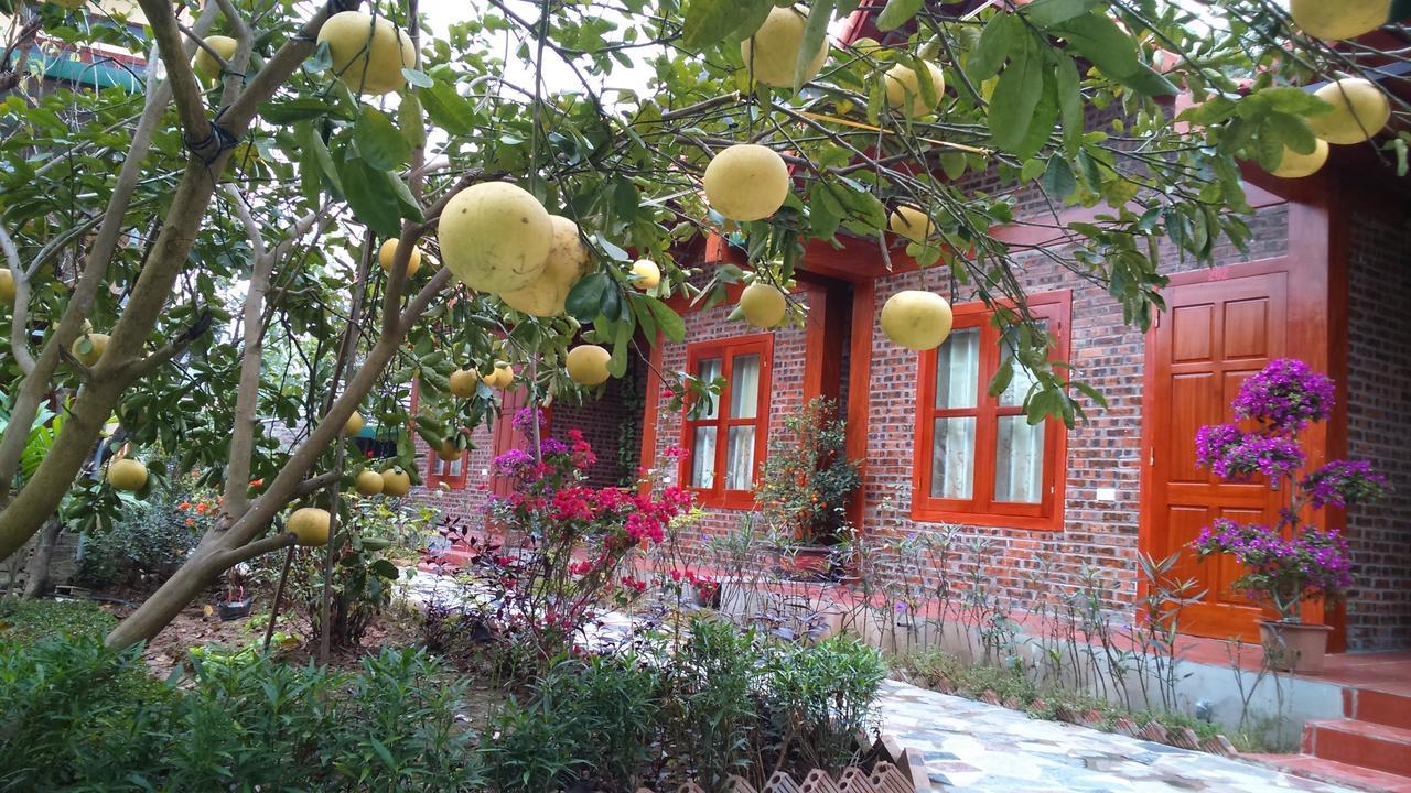 Tam Coc Thanh Dat Homestay نينه بينه المظهر الخارجي الصورة
