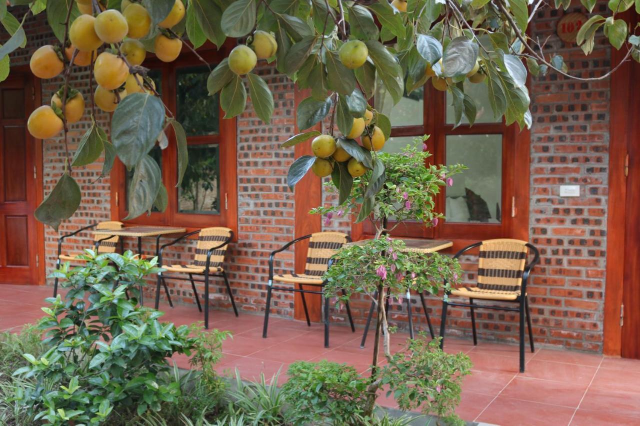 Tam Coc Thanh Dat Homestay نينه بينه المظهر الخارجي الصورة