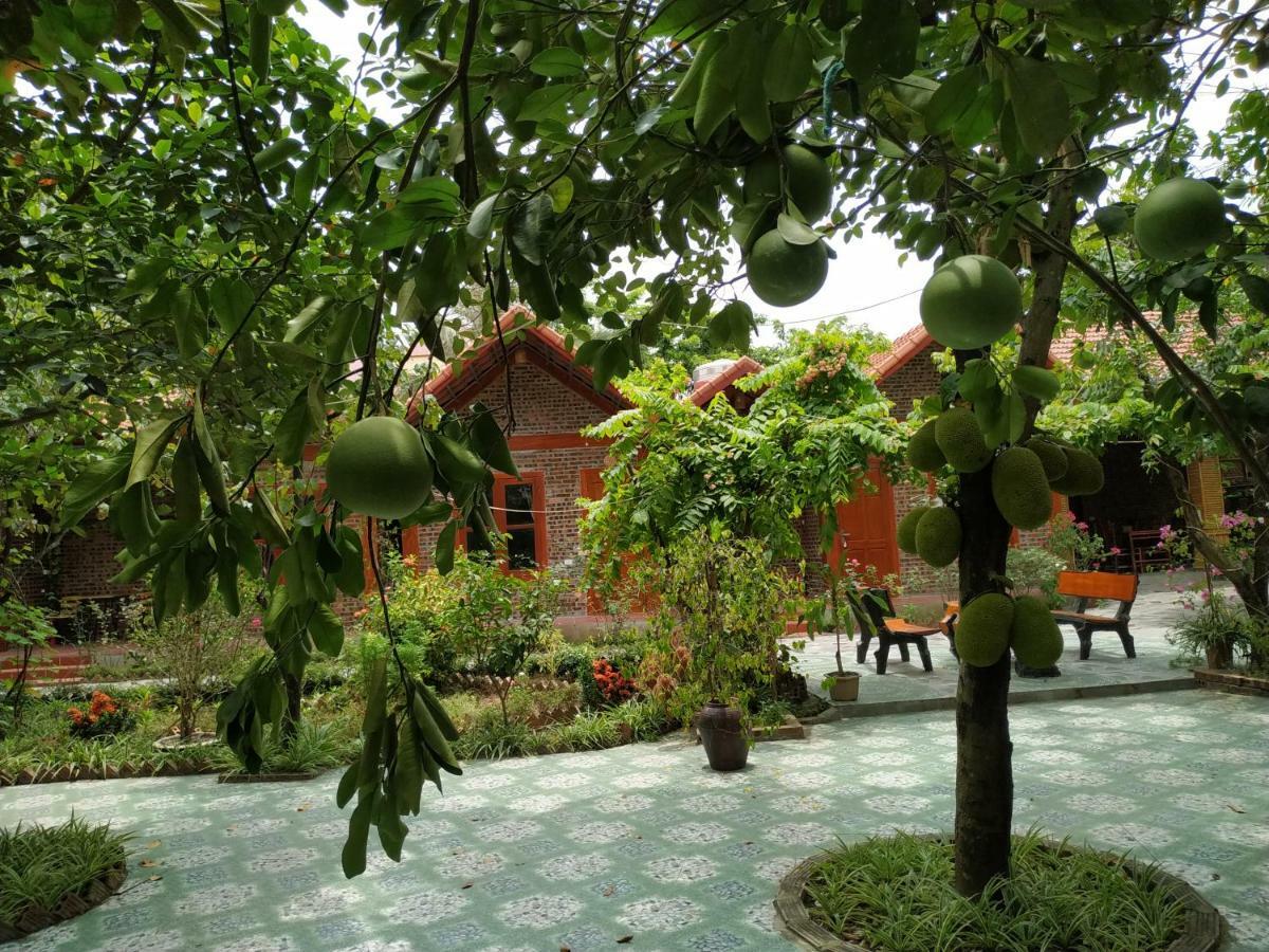 Tam Coc Thanh Dat Homestay نينه بينه المظهر الخارجي الصورة