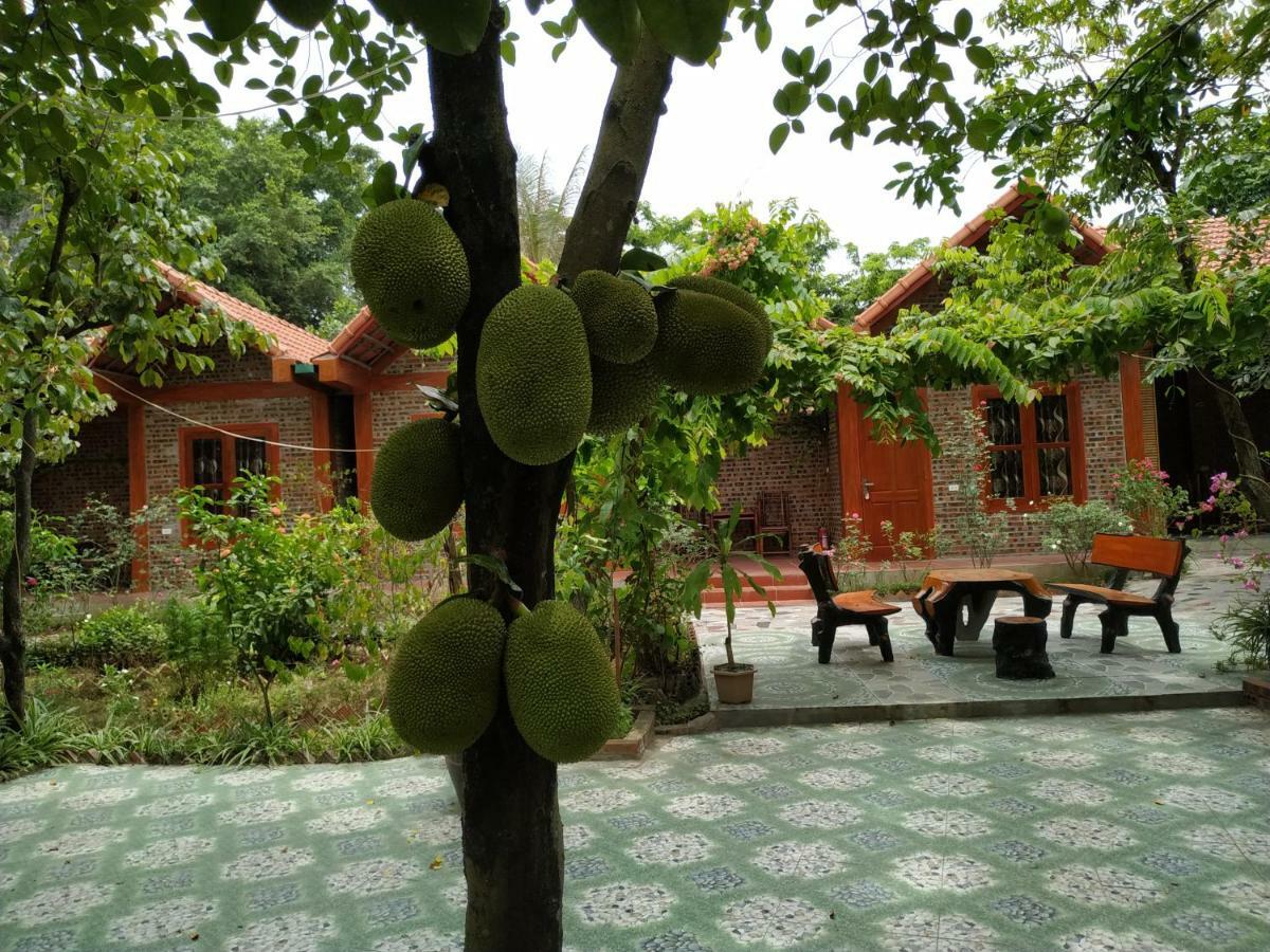 Tam Coc Thanh Dat Homestay نينه بينه المظهر الخارجي الصورة